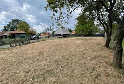 Loc casa , cu sura mare la munte in com Batrana Loc casa , cu sura mare la munte in com Batrana - 7