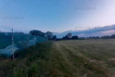 Teren aproape de Bucuresti langa padure - 13