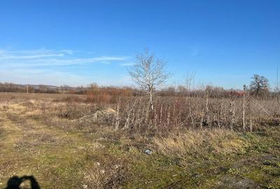 Teren intravilan, Săcădat, 27 921 mp. 9,5 Euro/mp. Comision 0. Teren intravilan, Săcădat, 27 921 mp. 9,5 Euro/mp. Comision 0. - 3