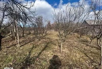 Casă cu 4 camere cu Teren 2064 Mp în Central - 3