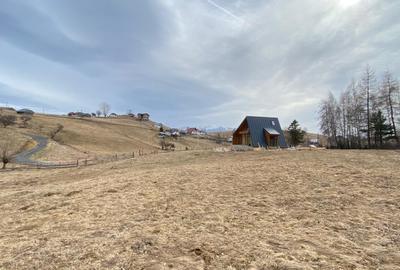 Teren Sirnea Intravilan - 2