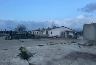 Teren de 2697 mp, în Valu lui Traian - 10