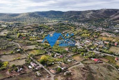 Teren intravilan NICULITEL, zona deosebita, 3044MP - 11