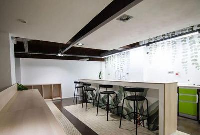 Spațiu comercial, de 715 mp, în Kiseleff - 14