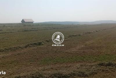 Spațiu comercial, în Horlești - 4