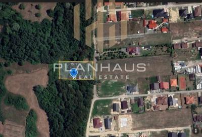 Teren intravilan 25 ari în Satu Nou de Jos - oportunitate excelentă