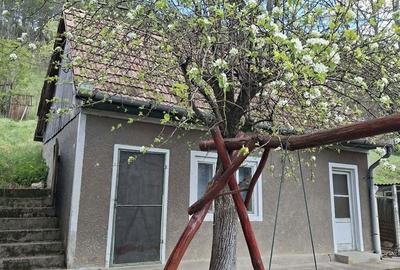 Casă cu 3 camere decomandat cu Teren 2000 Mp în Gârbău - 5