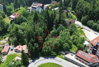 PREDEAL - Trei Brazi - Teren intravilan- 800 mp