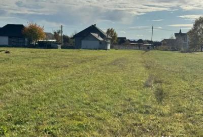 Teren de 20000 mp, în Bozânta Mare - 4