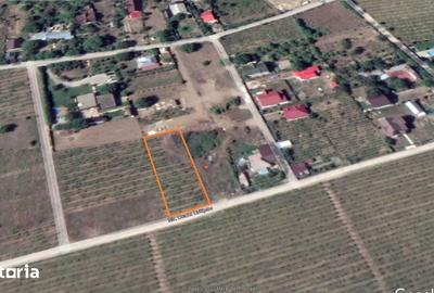 Teren de 974 mp, în Bucium - 4