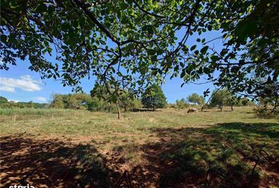 Casă cu 2 camere în Birtin - 13