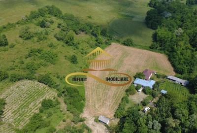 Casa batraneasca cu 2ha de teren de vanzare in sat Balaia / Bacau - 27