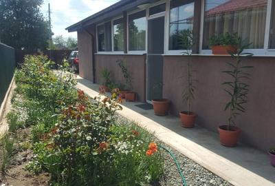 Casă cu 3 camere cu Teren 1800 Mp în Ion Ghica - 1