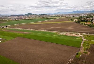 FILM! Teren intravilan, 10.000 mp, Grivitei, Brasov - 5