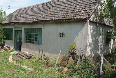 Vind casa cu gradina Vind casa cu gradina - 7