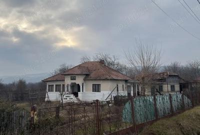 Casă cu Teren 2448 Mp în Pârscov - 2