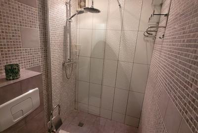 Garsonieră decomandată, mobilată în Baba Novac - 1