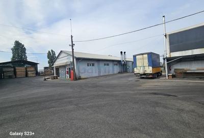 Spațiu industrial, de 5,500 mp, în Borș - 6