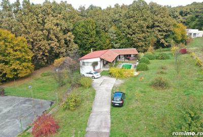 Proprietate exclusivista cu 60.000 mp teren ?i padure - 12