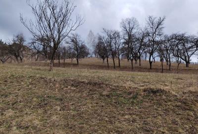 Spațiu comercial, în Farcașa - 2