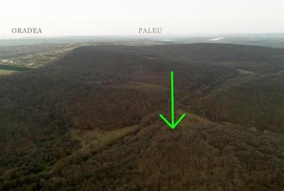 RECO . Teren extravilan . Saldabagiu de munte . - 1