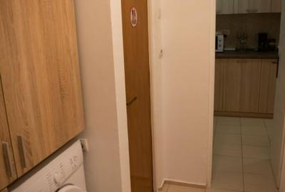 Apartament cu 2 camere decomandat, mobilat în Ultracentral - 10