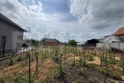 Casă individuală cu 4 camere cu Teren 1842 Mp în Central - 5