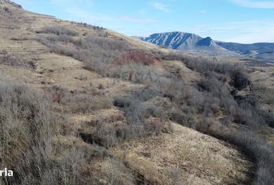 Casă cu 2 camere în Izvoarele - 19