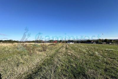 Teren Construcții intravilan de 1216 mp, în Cetariu - 2