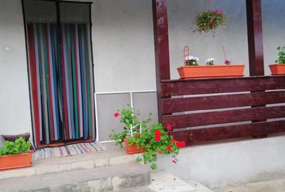 Casă cu 2 camere cu Teren 610 Mp în Hârja - 10