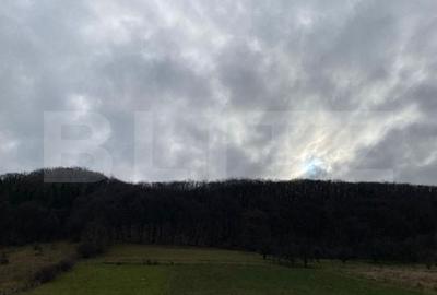 Spațiu comercial, în Central