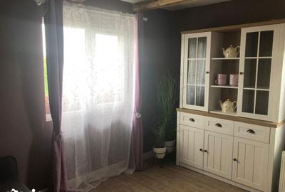 Casă cu 4 camere cu Teren 5000 Mp în Șuncuiuș - 9