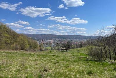 Teren de 3600 mp, în Exterior Vest - 1