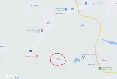 Teren de 7000 mp, în Miroslava - 7
