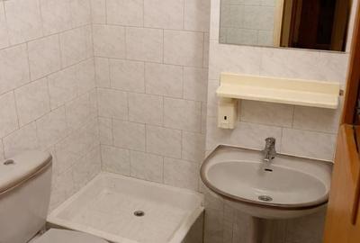 Apartament cu 4 camere decomandat în Gorjului - 5