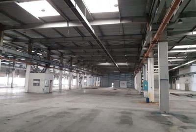 Spațiu comercial, de 20,000 mp, în Timișoara - 8