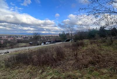 Teren Intravilan 495 mp – Zonă Liniștită Strada Livezii - 1