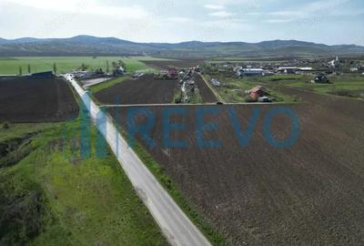 Teren de 3626 mp, în Nicolae Bălcescu - 1