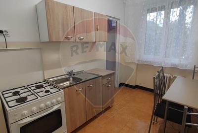 Apartament cu 3 camere decomandat, mobilat în Decebal - 14