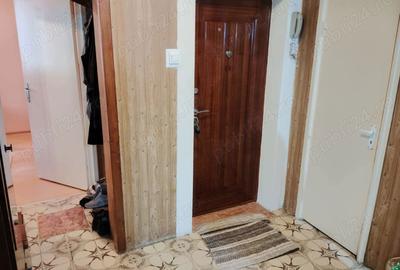 Apartament cu 4 camere decomandat în Tudor Vladimirescu - 6