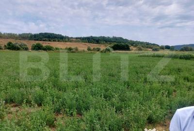 Teren de 27500 mp, în Răscruci - 1