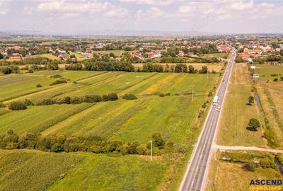 Teren extravilan Lunca Calnicului langa E574 - 5