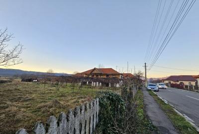 Teren intravilan 1555 mp - Arcani - 13 km de Tg. Jiu - 1