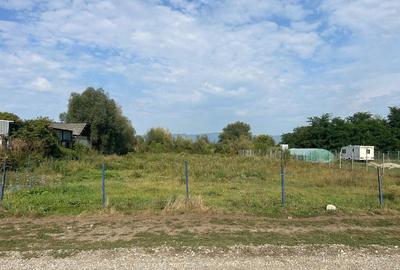 Teren intravilan Halchiu, str. Feldioarei 1600 mp - 6