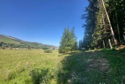 Teren de 5000 mp, în Gura Humorului - 1