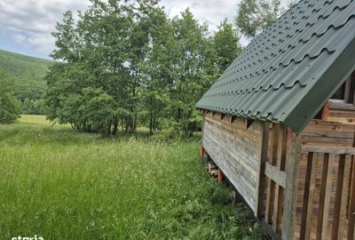 Casă cu Teren 5600 Mp în Lisnău - 8