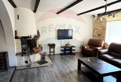 Vila si casa de vacanta Sibiel - 1