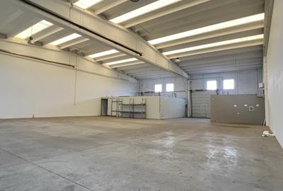 COMISION 0% | De inchiriat hala, situata pe Calea Lugojului | Disponibil imediat - 3