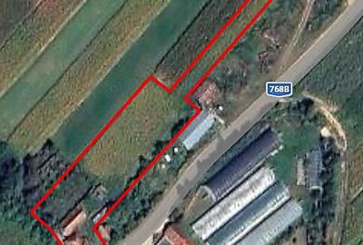 Casă cu 4 camere cu Teren 4122 Mp în Petid