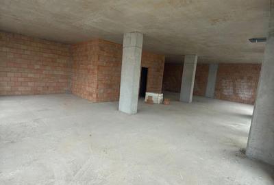 Spațiu comercial, de 159 mp, în Turnișor - 8
